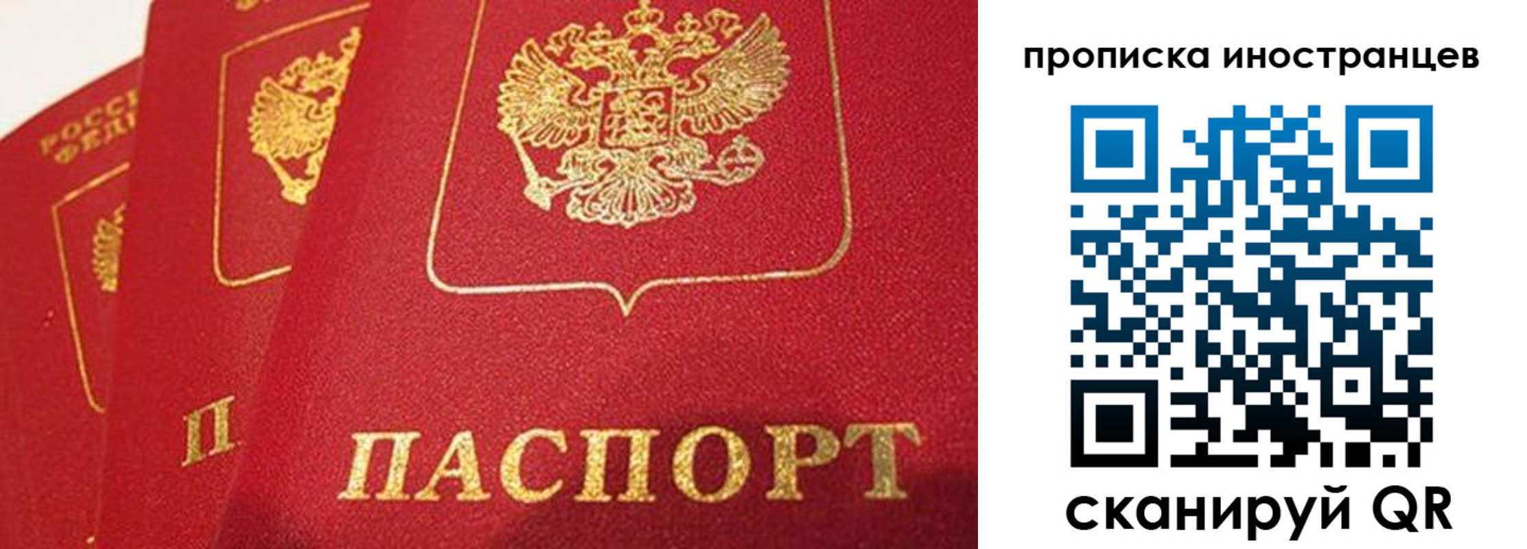 прописка поиск в Подпорожье